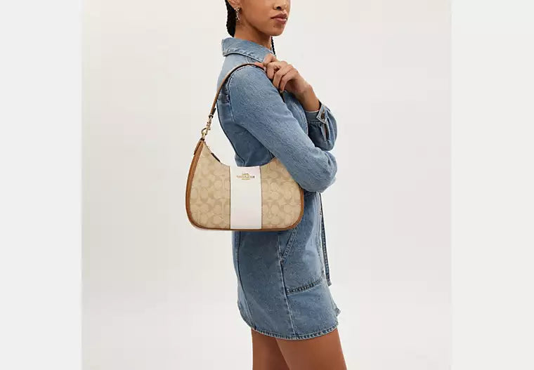 Teri Hobo Bag In Signature Canvas With Stripe